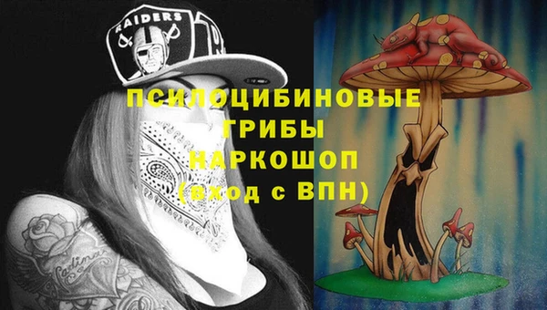 молекула духа Баксан